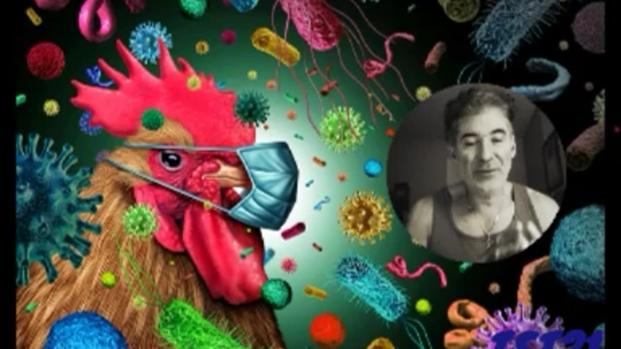 CANNIBAL TO BE SET FREE, PREBUNKING, "EXPERTS": BIRD FLU'S IN THE AIR