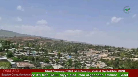 Oduu Waaree ONM-ABO Guraandhala 19 -2025 itti dhiyaadhaa!