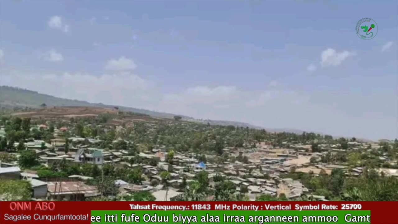 Oduu Waaree ONM-ABO Guraandhala 19 -2025 itti dhiyaadhaa!