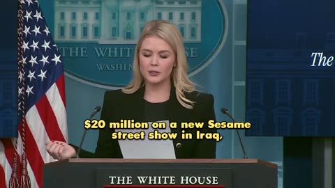 Karoline Leavitt at White House press conference listed absurdities USAID funded