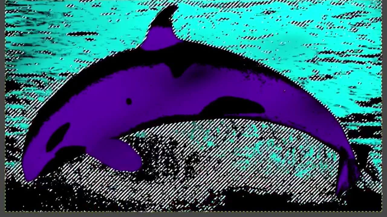 Whale #drawing
