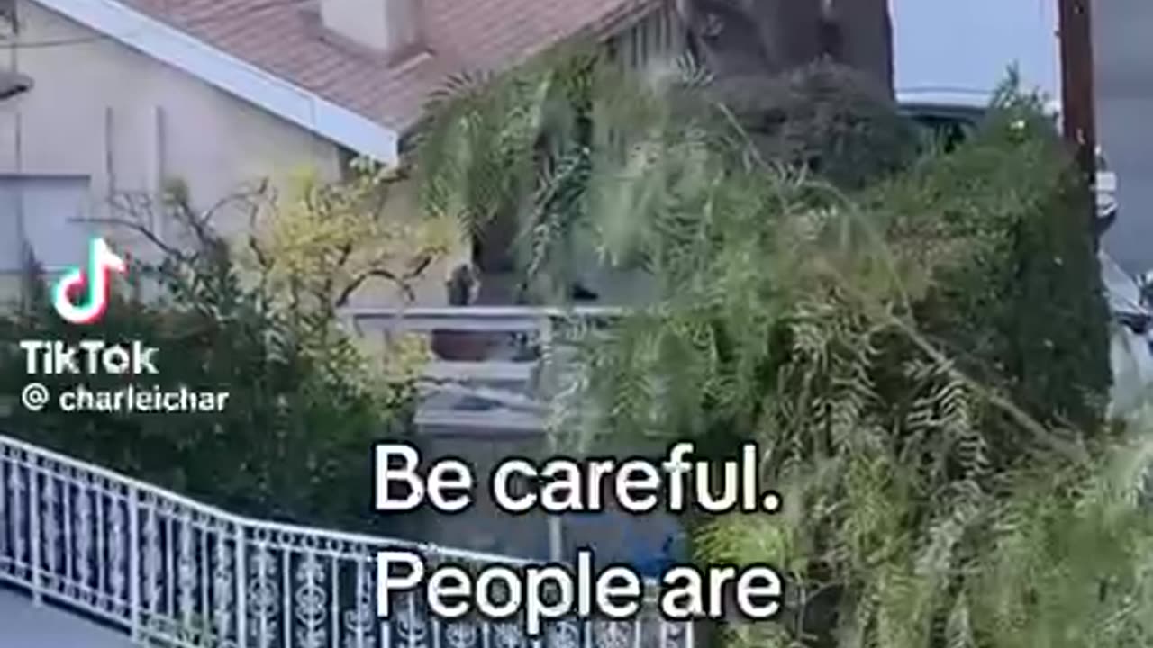 people are starting fires in L.A