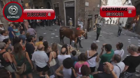 🔥 ¿Porque se prohibio la carne de caballo en el medioevo?🐴❌