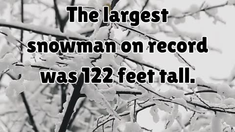 The biggest snowman ever!