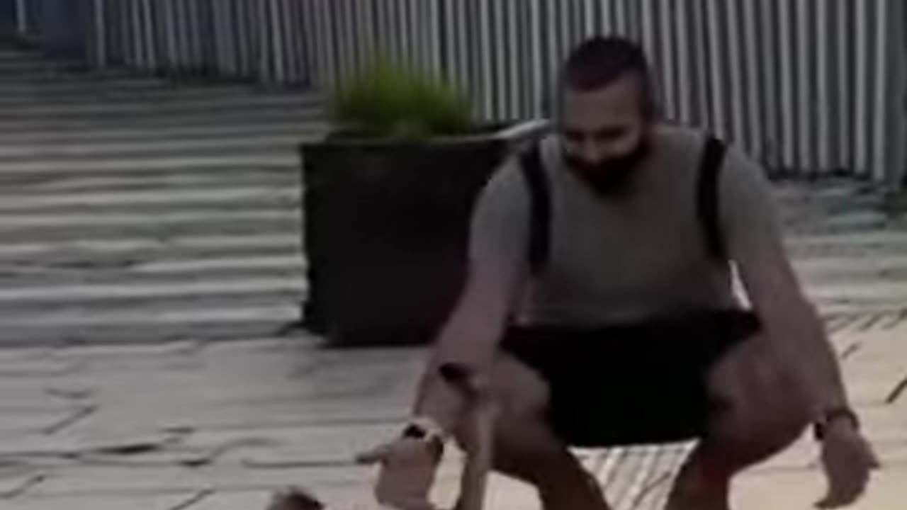 This cat is an actor😹