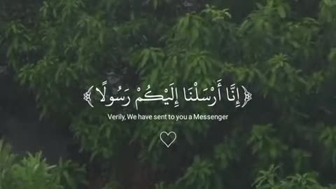 Allah hu akber 🕊️🙏🤲