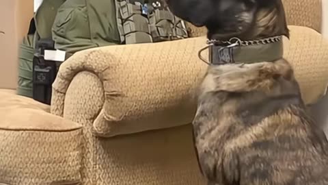 Viral Short Video