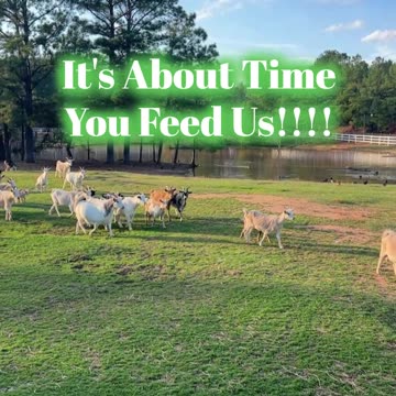 It's about time you feed us