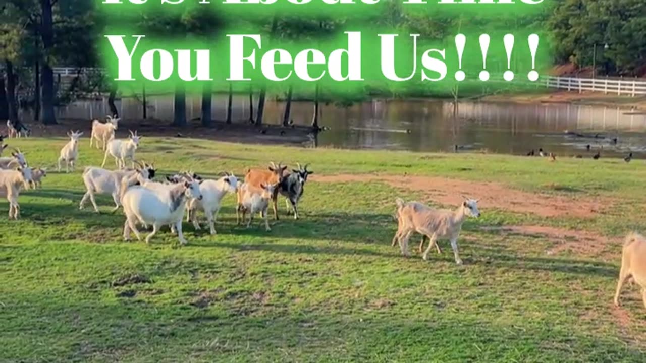 It's about time you feed us