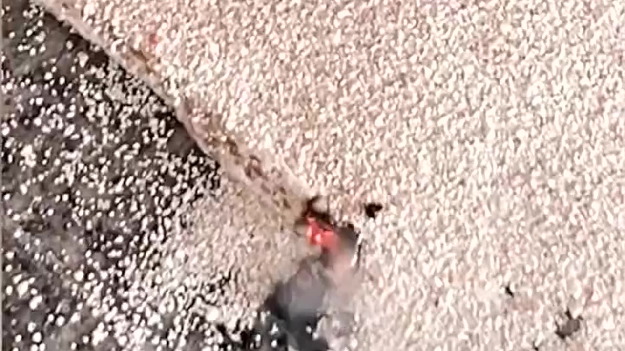 Survival is all about thinking fast- and acting faster 💥💥💥