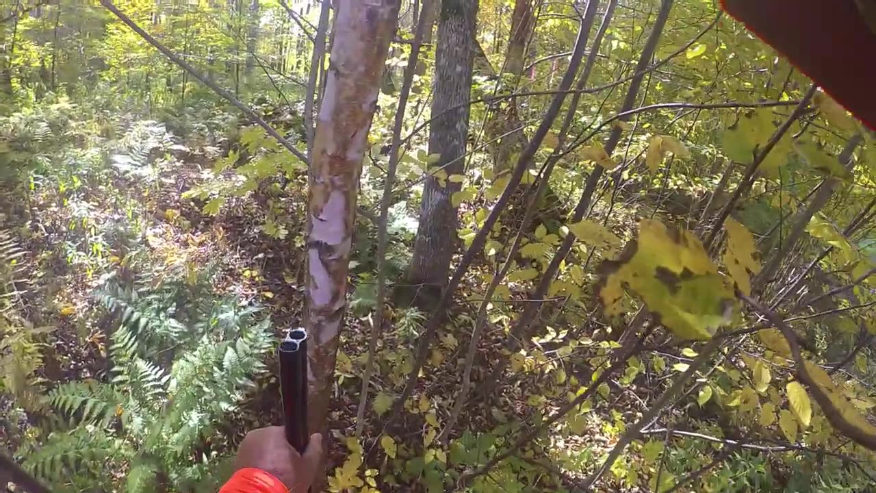 Wisconsin Grouse Hunt Day 2