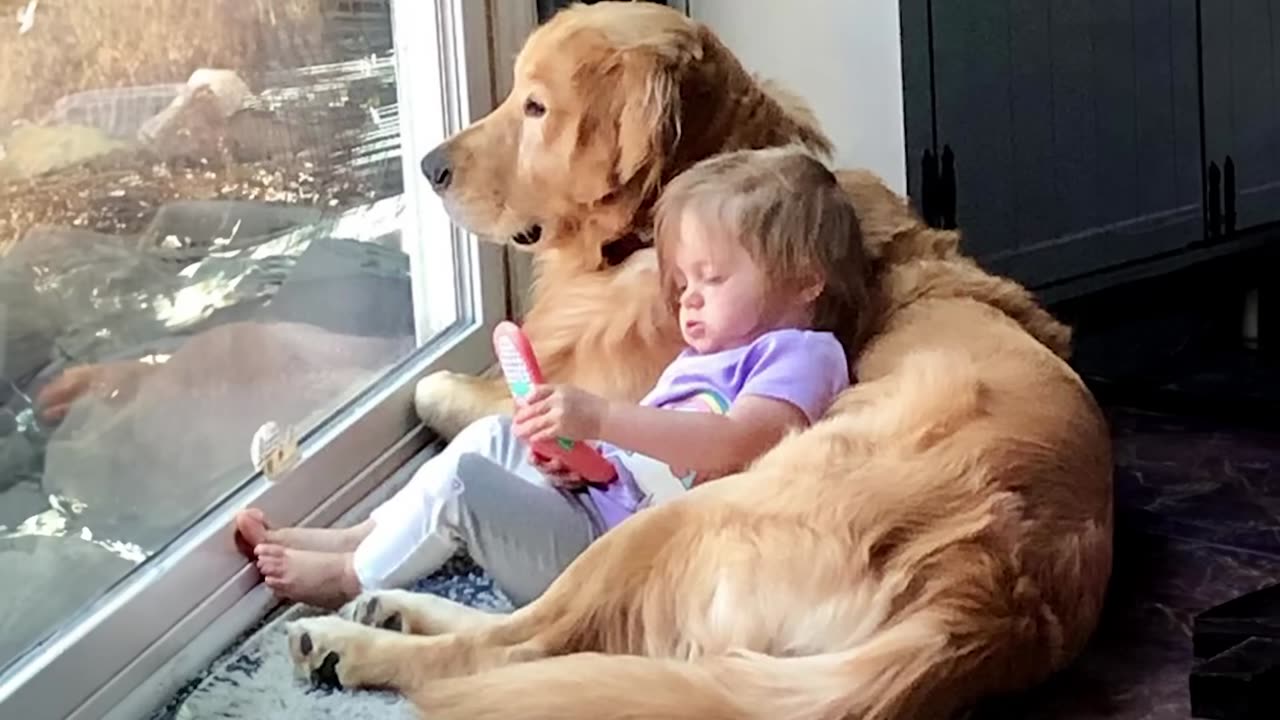 When your dog is the best babysitter | Funny Weird RMF Media