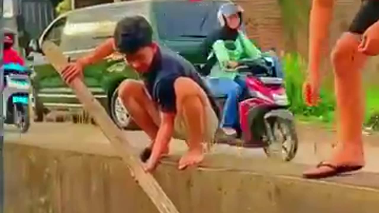Funny video