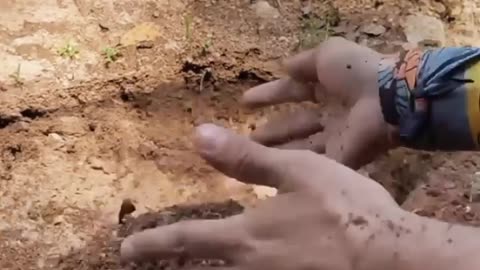 Cooking in nature