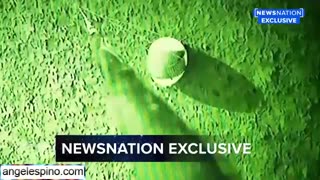 Whistleblower Shocking EGG Shape UFO/UAP! MUST SEE FULL FOOTAGE!!!