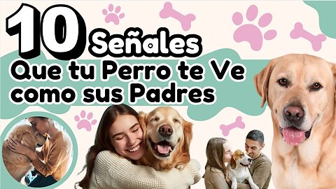 10 Señales de que tu Perro te Ve como sus Padres