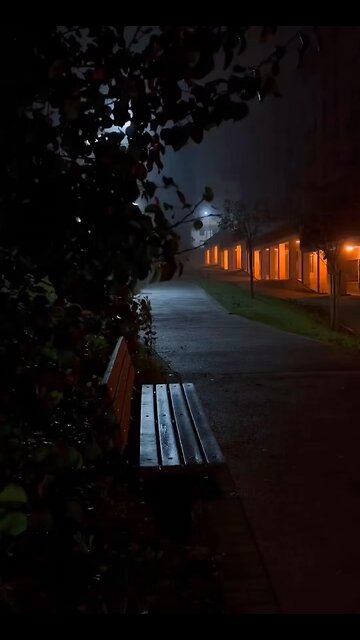 We have no problems with life