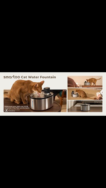 Wireless Cat Water Fountain