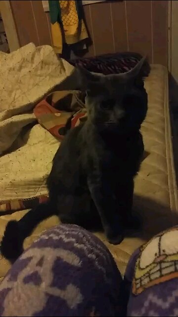 windigo the puffball