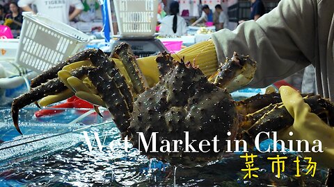 Fresh Seafood & Local Delights: A Tour of China’s Wet Market!