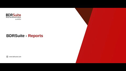 BDRSuite Reports