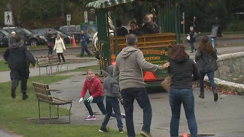 Horses Spooked by Car Horn Take Tourists on Wild Ride in Stanley Park | PSN Experiment