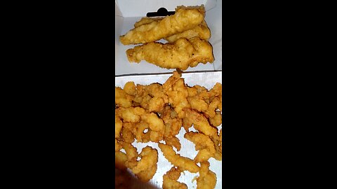 Meal, Long John Silver's, Telegraph Rd, Taylor, MI, 1/10/25