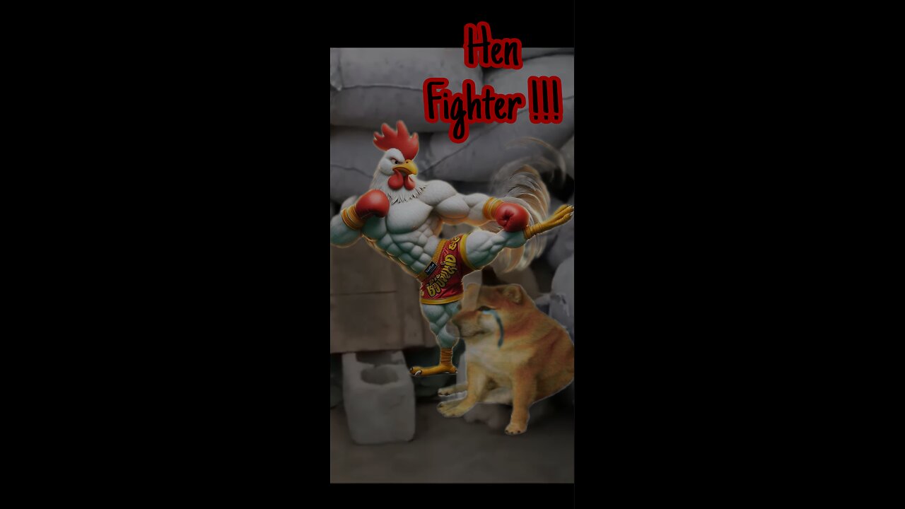 Dog and hen on the battlefield !