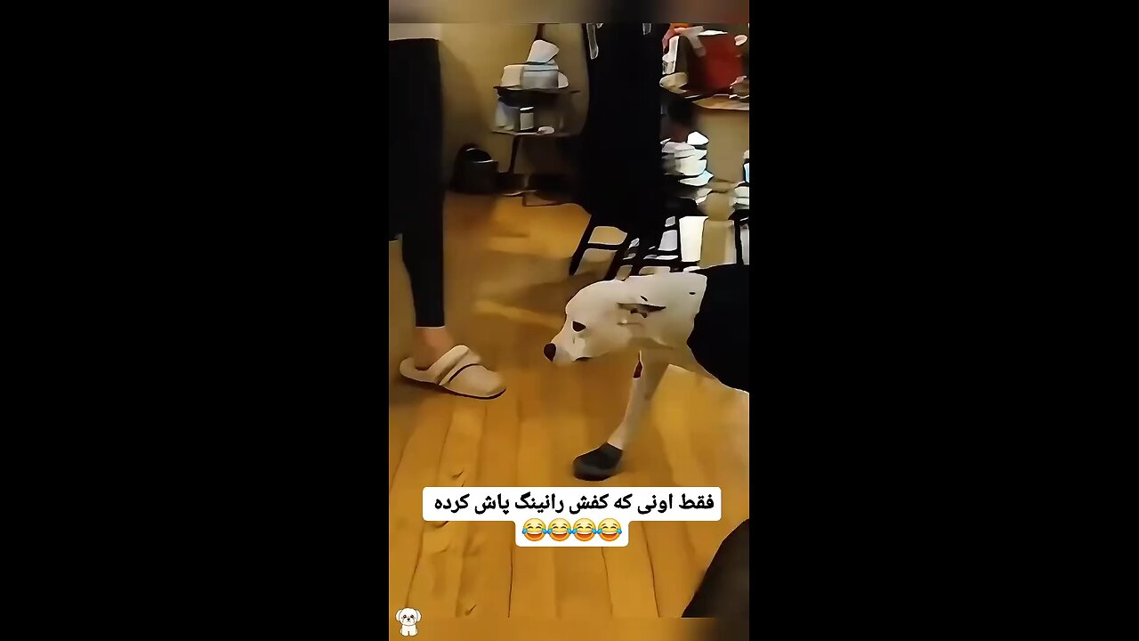 Holy shot