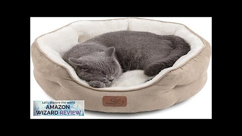 Bedsure Dog Beds for Small Dogs Round Cat Beds for Indoor Review