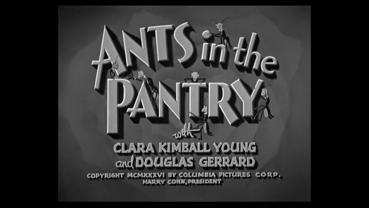 The Three Stooges - "Ants in the Pantry"