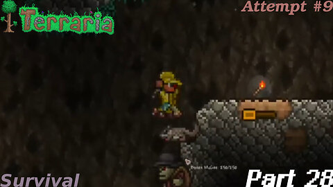 Terraria Playthrough #9 Part 28