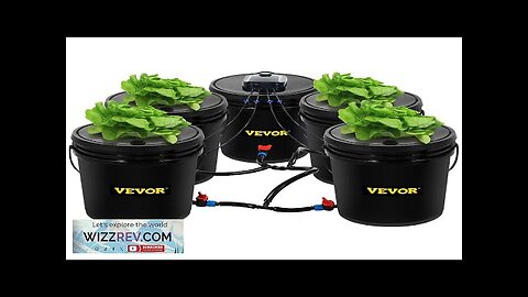 VEVOR Hydroponics Deep Water Culture DWC Hydroponic System 5 Gallon 5 Buckets Review