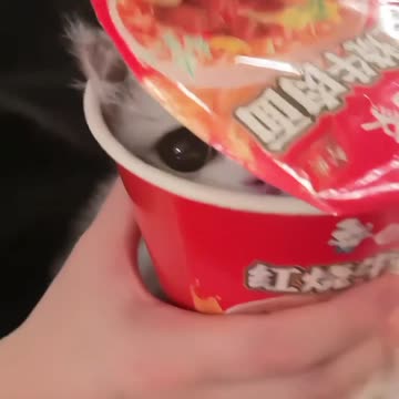 Copy and Open New Douyin Hong Kong and Macau Version, Check Out [Duo Rou Nai Tuan's Works