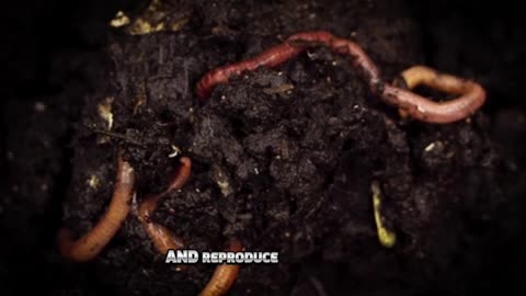 "Understanding Worms: Roles, Types, and Characteristics"