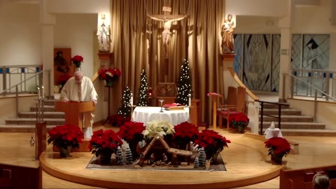 Homily for the Vigil Mass of Christmas 2024