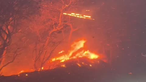 Palisades fire, California