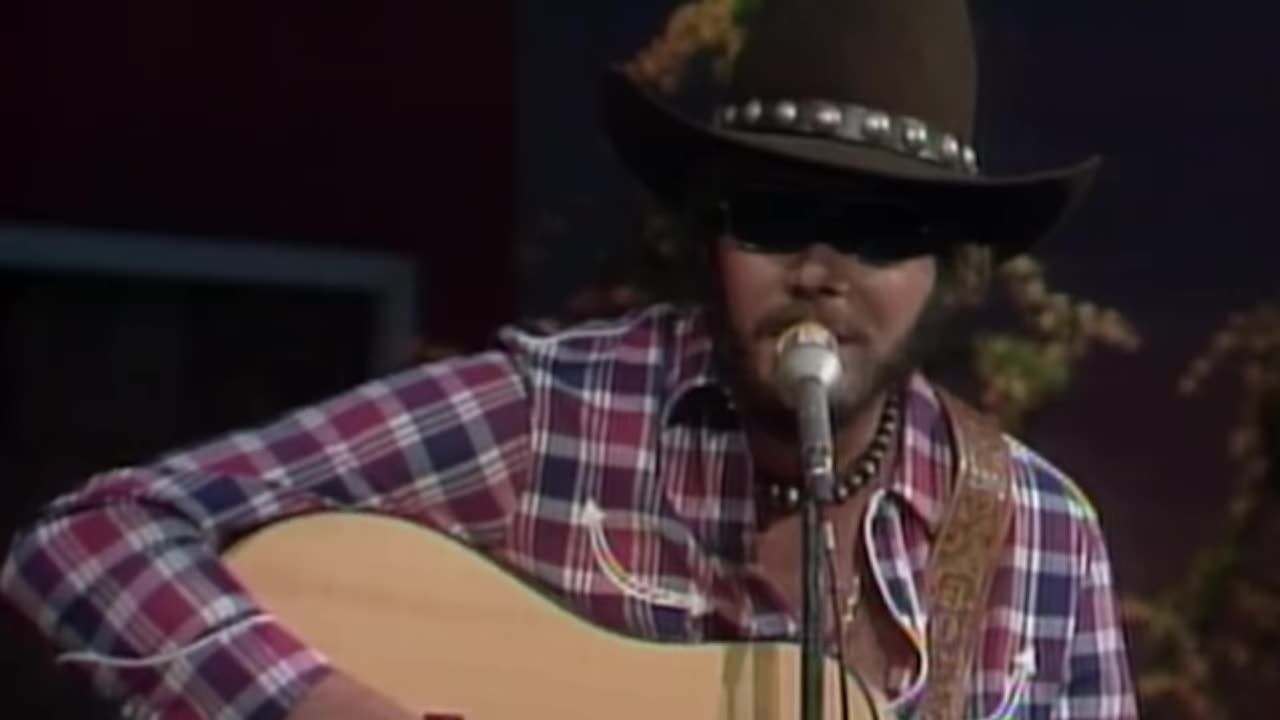 Hank Williams Jr - Living Proof