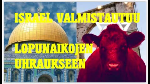 Israel valmistautuu historialliseen punahiehon uhraamiseen