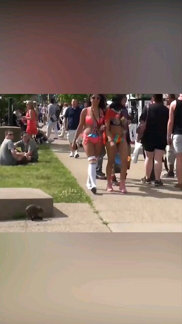 They Came for the Parade… But We Gave Them a SHOW! 🐀🤣