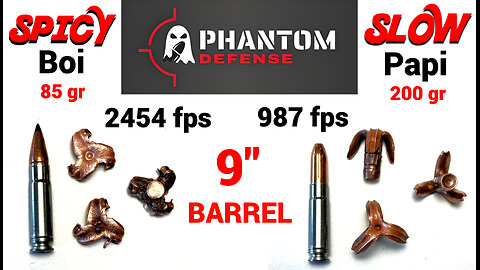 BEST 300BLK Ammo for Hunting and Defense? - Phantom Defense 300BLK