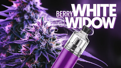 BERRY WHITE WIDOW ROSIN REVIEW 🍇🍯 | IS THIS 2 5G DISPOSABLE VAPE THE BEST HYBRID HIGH? 🚀✨