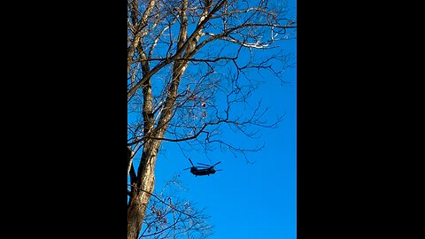 Chinook helicopter flying over our homestead. They sound amazing echoing through the mountains