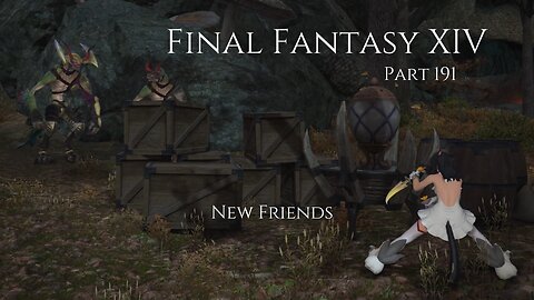 Final Fantasy XIV Part 191 - New Friends