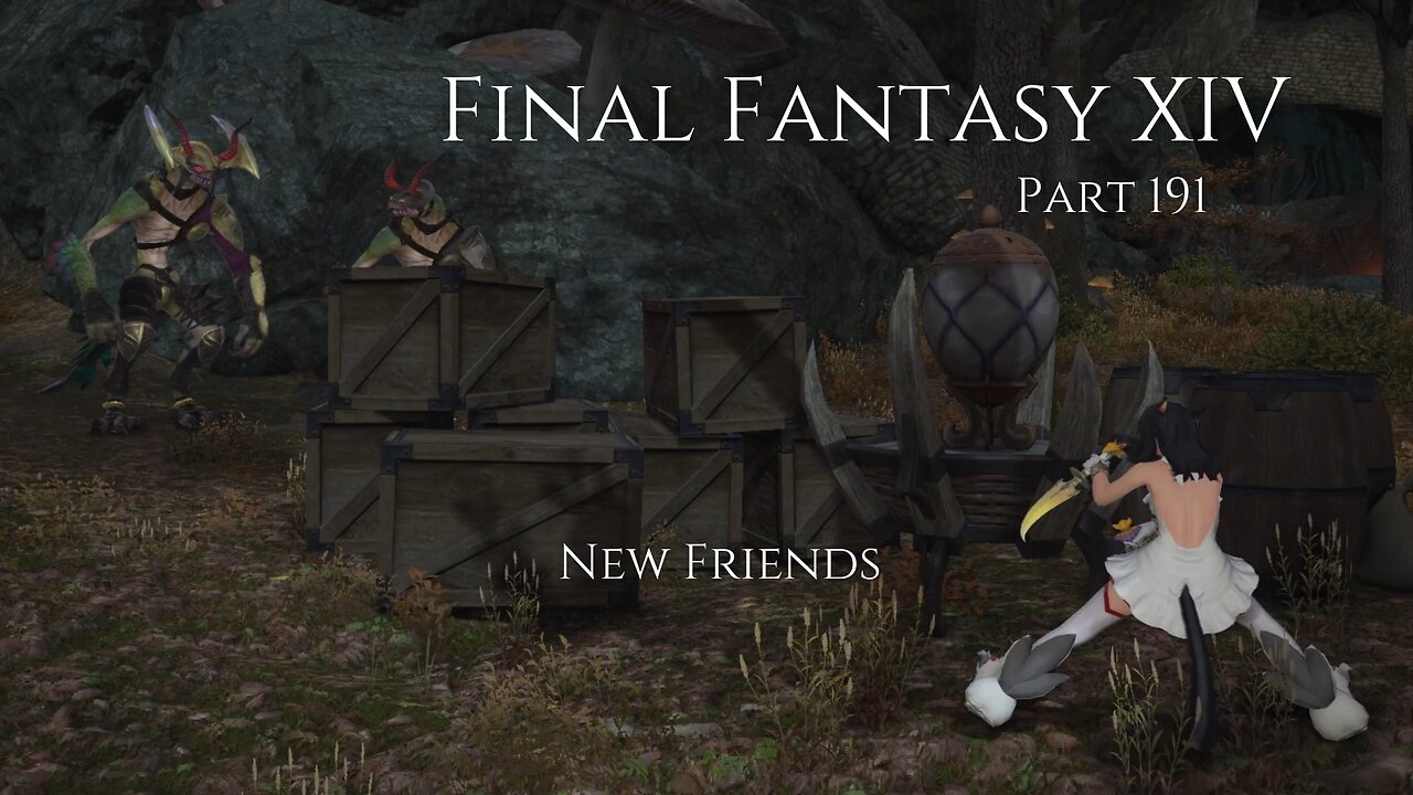 Final Fantasy XIV Part 191 - New Friends