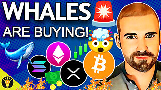 Crypto Market Analysis! Bitcoin, XRP, Solana, Altcoins! Whales Are Buying!