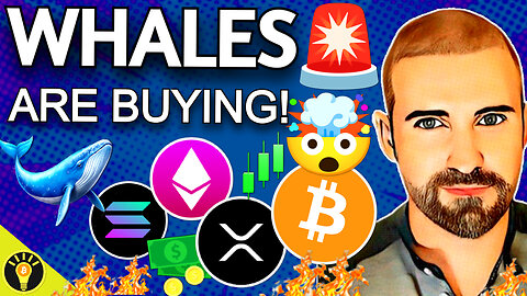 Crypto Market Analysis! Bitcoin, XRP, Solana, Altcoins! Whales Are Buying!