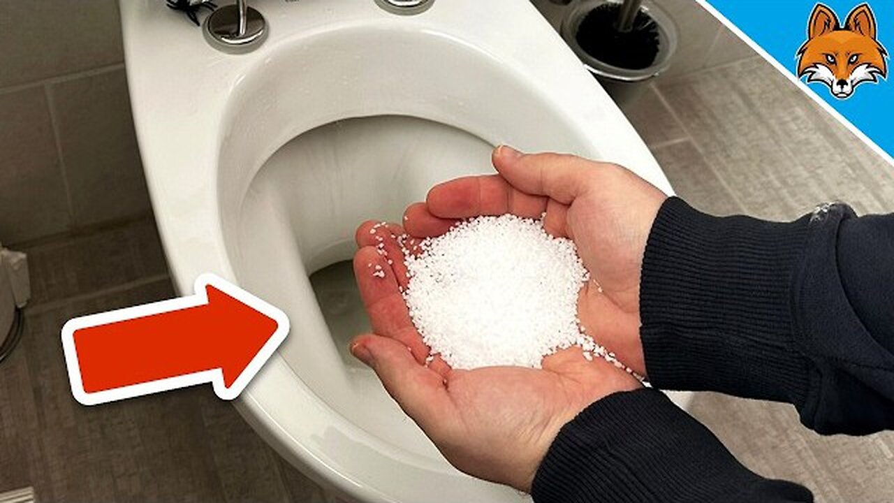 Toss a Pinch of Salt into Your Toilet and WATCH WHAT HAPPENS! (Surprising Results) 🤯 PSN Experiment