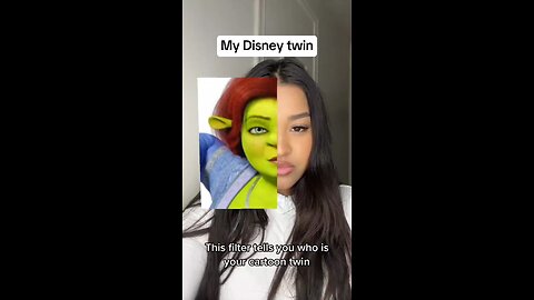 My disney twin face filter