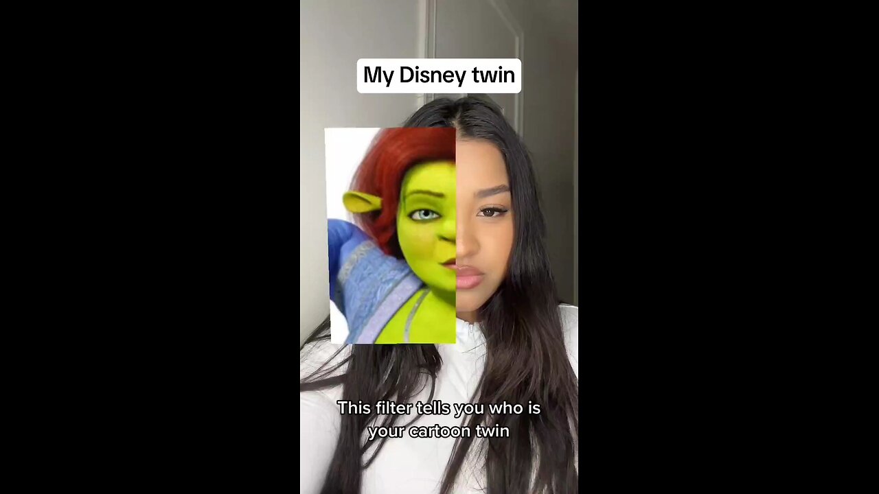 My disney twin face filter